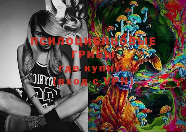 МДПВ Абинск