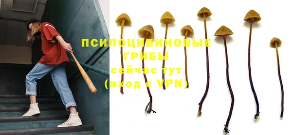 амф Протвино