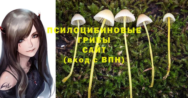 амф Протвино