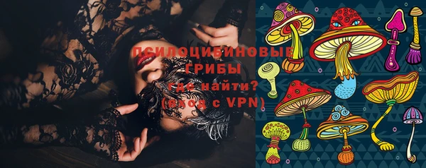 гидропоника Абаза