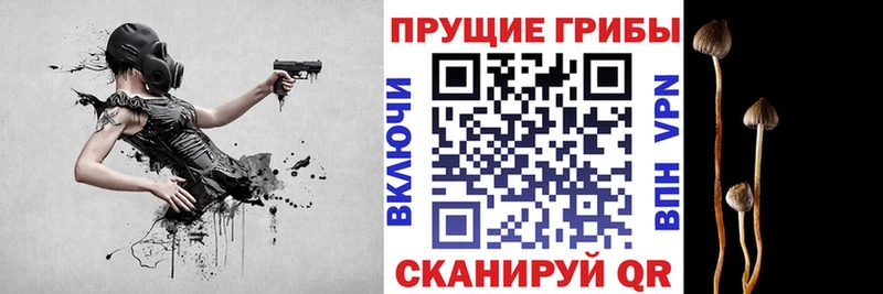 Псилоцибиновые грибы GOLDEN TEACHER  Калачинск 